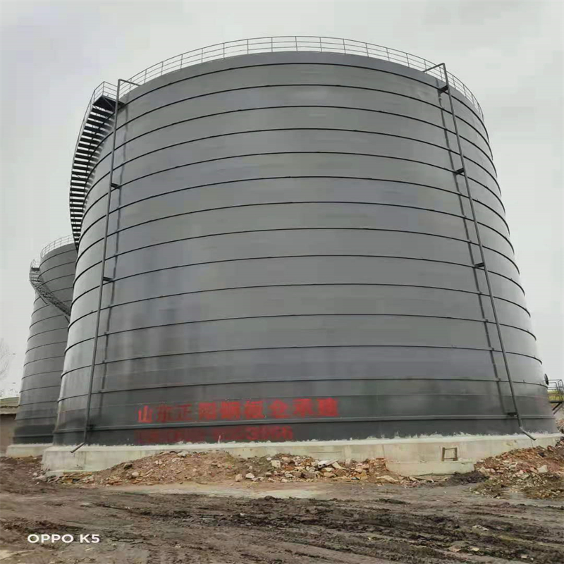 兰考3万吨大型钢板库