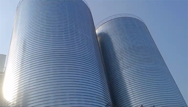 兰考2座混凝土高架卷板仓